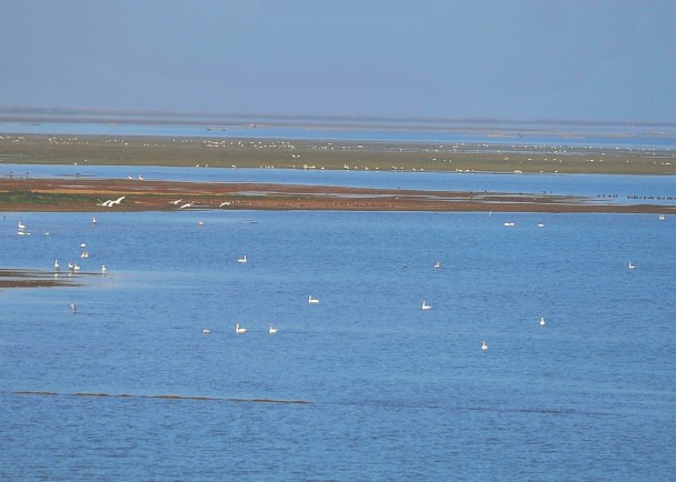 �й����ˮ��۶����ӭԽ������Ǩ��