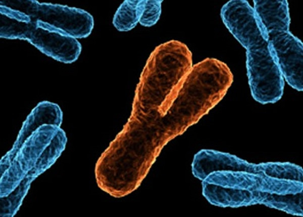 研究指吸烟愈多,Y染色体消失得愈多。