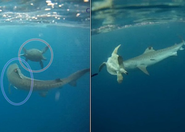 ����(��Ȧʾ)��Ȧ��·�����ߣ��ܿ�����(��Ȧʾ)������