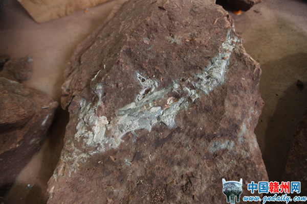 警方查获的疑似恐龙胚胎化石，虽然被人为破坏，但化石中的骨骼可见。