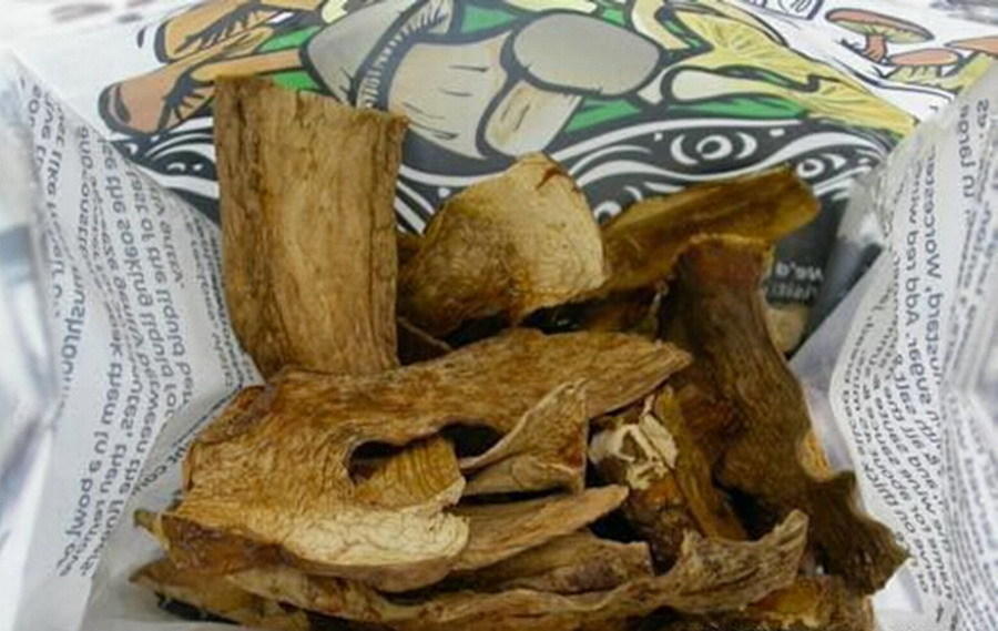 伦敦小卖部发现的蘑菇新物种