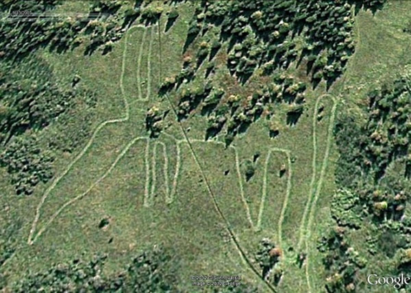 要一窥麋鹿地画全貌只能从上空俯瞰