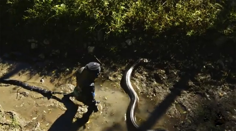 Ϊ�������ڹ�ע���ƻ�������ѷ�ȴ����֣������������ô����߰��Լ��̽����ӡ�