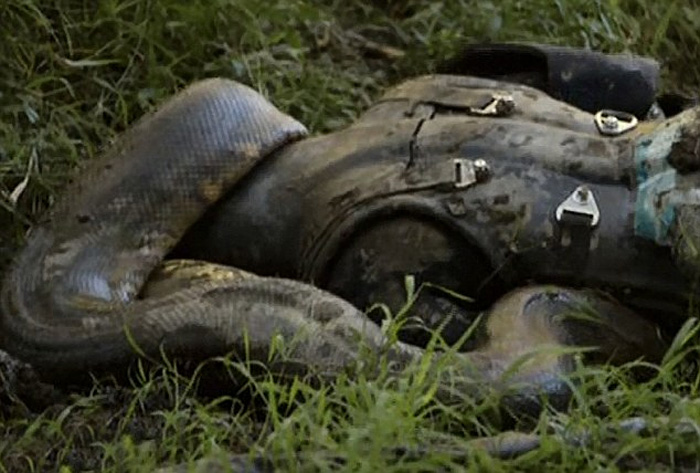 Ϊ�������ڹ�ע���ƻ�������ѷ�ȴ����֣������������ô����߰��Լ��̽����ӡ�