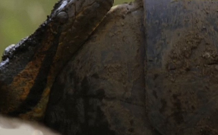 Ϊ�������ڹ�ע���ƻ�������ѷ�ȴ����֣������������ô����߰��Լ��̽����ӡ�