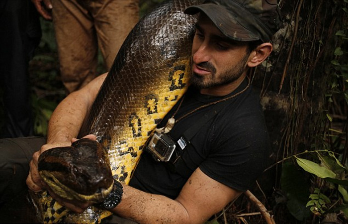 Ϊ�������ڹ�ע���ƻ�������ѷ�ȴ����֣������������ô����߰��Լ��̽����ӡ�