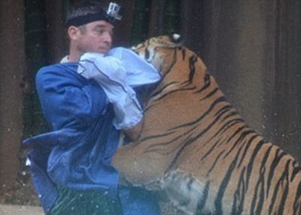 斯泰尔斯事发前故意改变装扮,希望老虎表演时更投入。