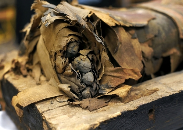 该具木乃伊的脚趾仍完好无缺。