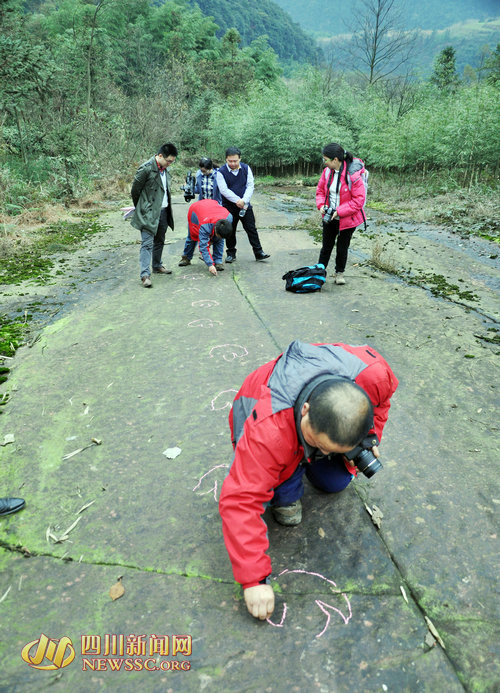 专家组在东亚最长的肉食恐龙行迹处进行考察
