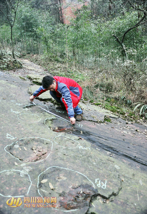 测量恐龙脚印化石