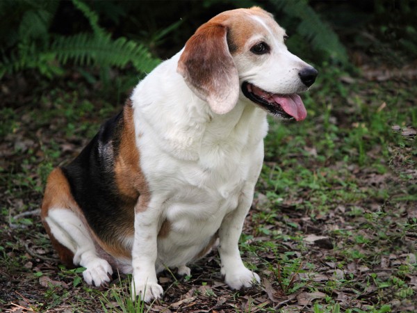 ���ֵĹ��ĳ�������ֵ�����ĳ�������