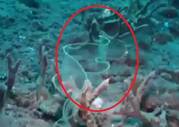 ˮ������(��Ȧ)��ˮ���ƶ��������κ��谭��