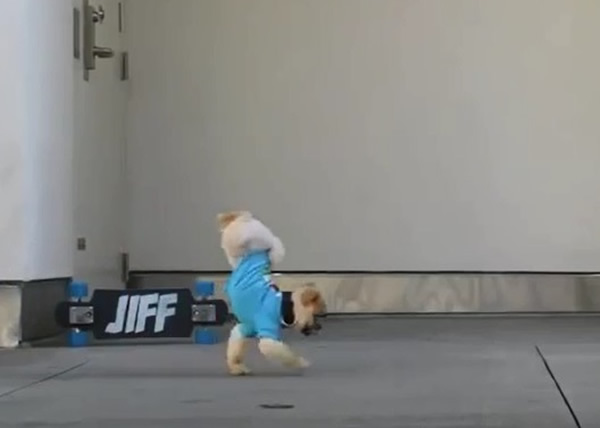 ���򶮵þ����ŵ���ǰ����