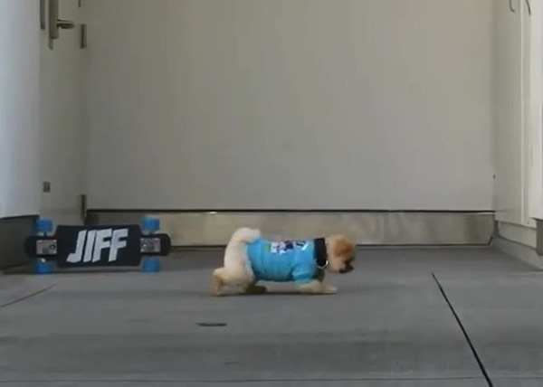 ���ն��ļ��򣬸�������˰�ѹ����������ǰ����