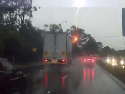 能灭火的樟柯树 - 神秘的地球 科学|自然|地理|探