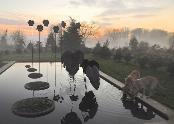 英国皇家园艺学会年度摄影比赛佳作 - 神秘的地