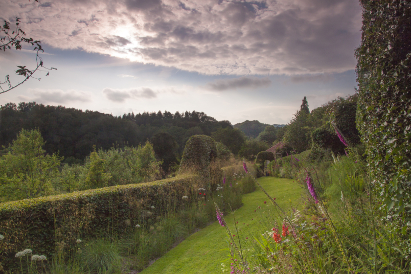 英国皇家园艺学会年度摄影比赛佳作 - 神秘的地