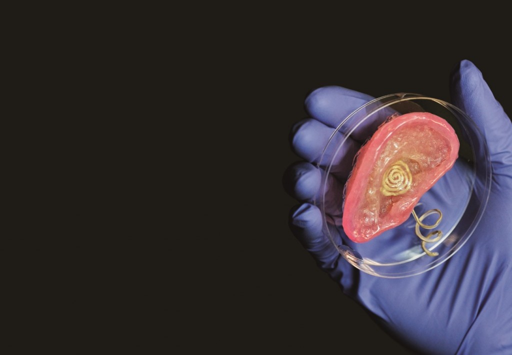 3D��ӡ�����ͻ���ӡˢ��һ�����л�ʱ�����壬�������ڸı�δ������ò��