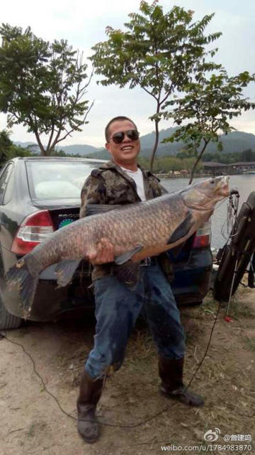 �㶫���㰮�����ڻ�����ˮ�����ɹ�����һ��50����صĳ������