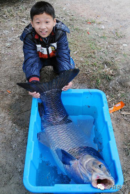 �㶫���㰮�����ڻ�����ˮ�����ɹ�����һ��50����صĳ������