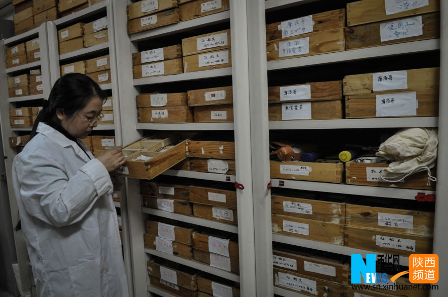 12��9�գ���λ������ʡ�����е�������ѧ�칫���ڣ���������������ʯ��