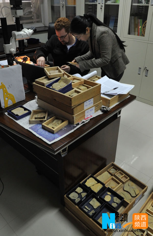 12��9�գ���λ������ʡ�����е�������ѧ�칫���ڣ��������ں����ר�ҽ���ѧ�����ۡ�