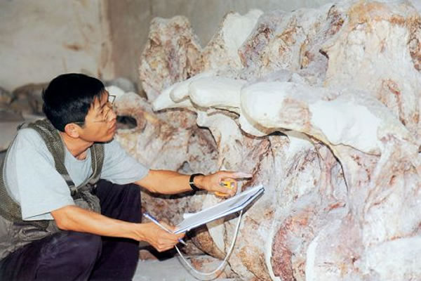 吕君昌博士在研究椎体排列顺序