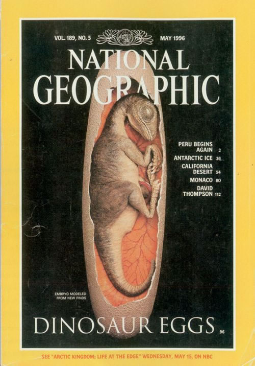 “路易贝贝”登上《美国国家地理》杂志封面