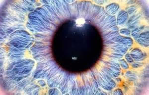 ���еĸ�ϸ���ɷ�ֹ����ԭ���ʧ��