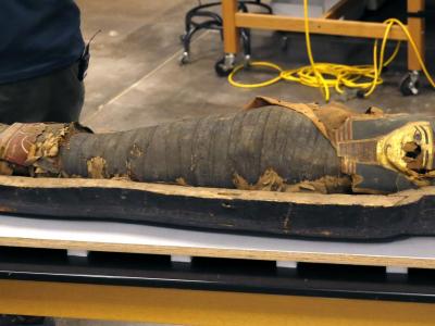 世界上寿命最长的狗 - 神秘的地球 科学|自然|地