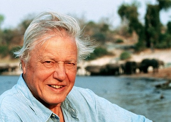 阿滕伯勒年近90,依然老当益壮,十分敬业。