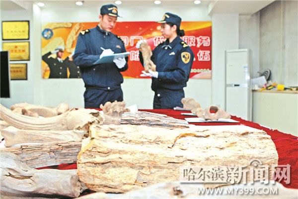 ������������һ������̨�����ͨ�ʼ������ڲ��26�������ﻯʯ