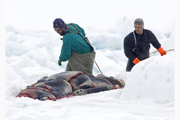 ����������ɱ������������������