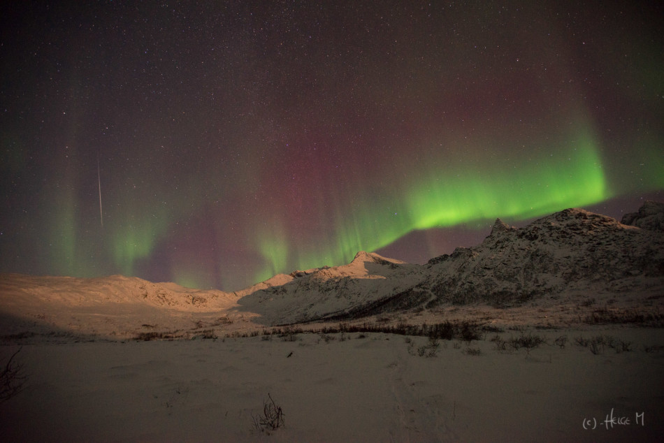 Ų����¡ķɪ�����������