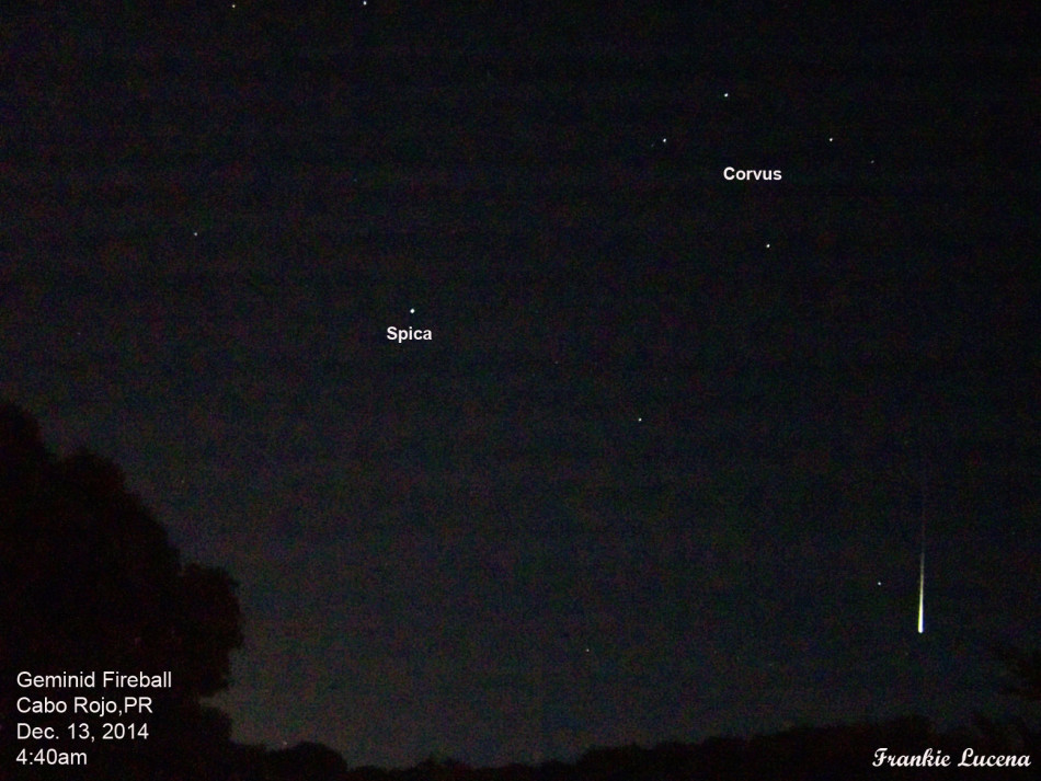 ���������˫����������