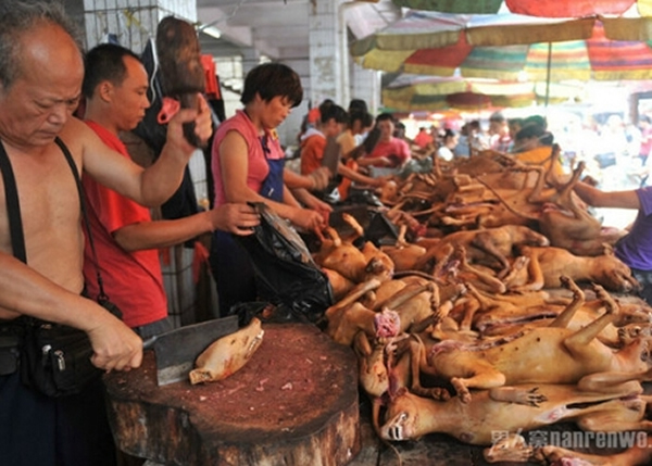 玉林狗肉荔枝节备受争议,广西官方拒绝将狗肉列入桂菜名菜 。(资料图片)