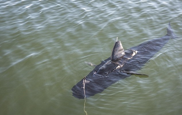 机械鱼“幽灵泳手”可潜入敌军水域,刺探军情。