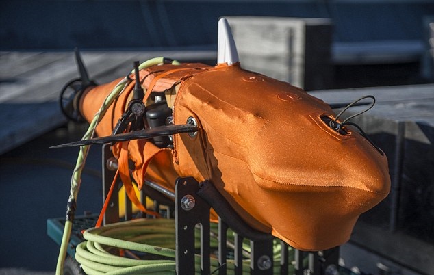 该款间谍机械鱼,参照吞拿鱼的外形制造。