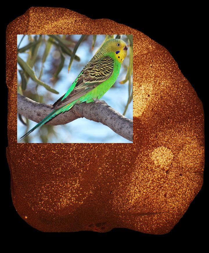 ���೪�������˵���ǳ�����