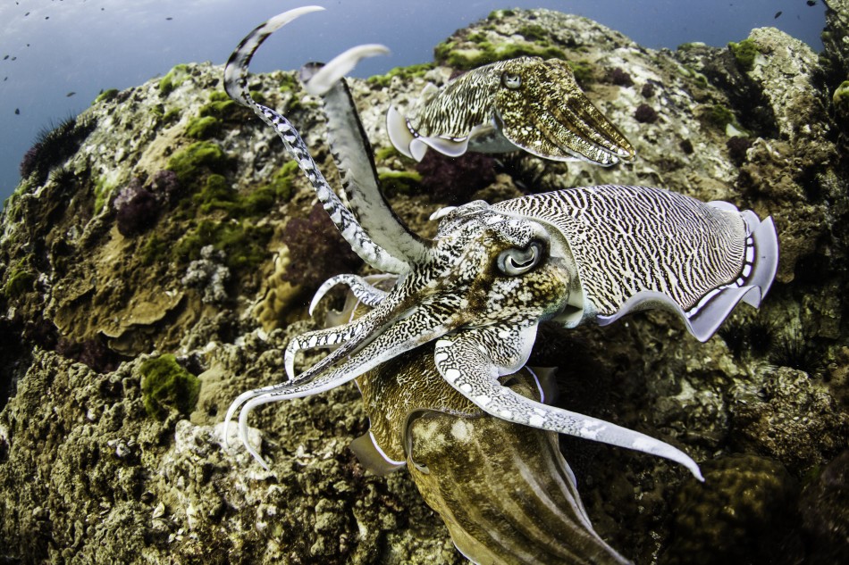 �����������������뽻�伾��