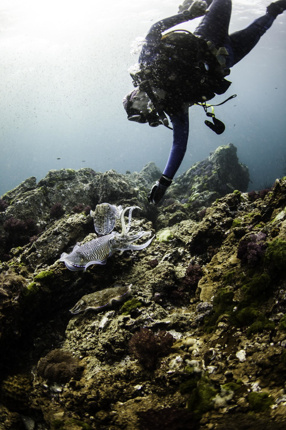 �����������������뽻�伾��