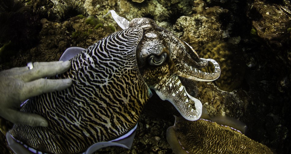 �����������������뽻�伾��