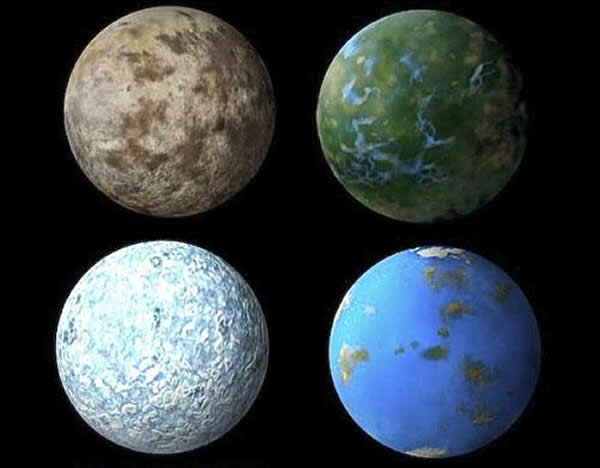 ����ֲ���е�Ҷ�����ܷ������Ľ�������߶����ֳ����ص�����ӡ�ǡ������������Ҳ����������������̽��ϵ�����ǵĻ��������ѵ�֪�˵��������������ڵ����ܡ�