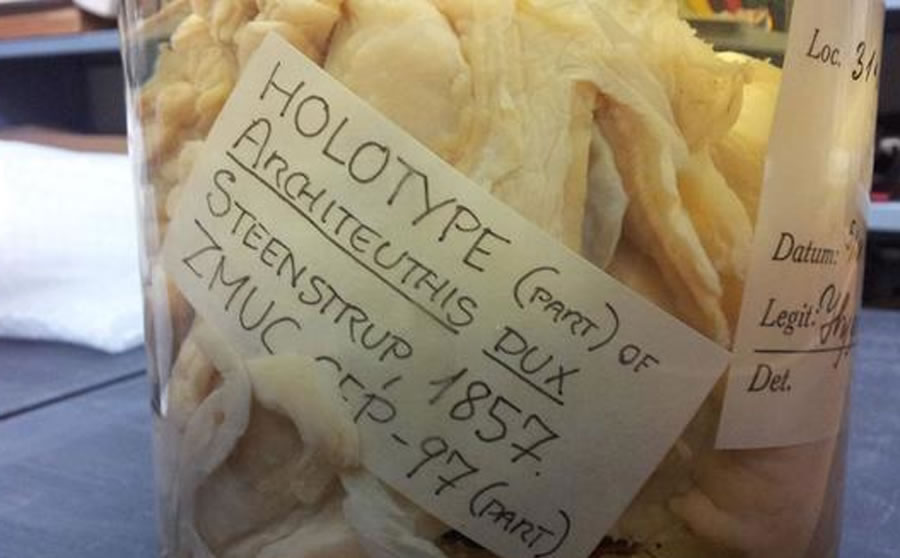 ΪоǺڵѧҶ21Ʒֵľо֮Щ걾Ժϵ֫û˿ǻʱʲôӣʹ