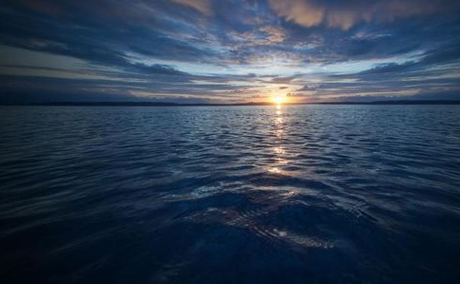 ȻǶԾѾʶ˽150꣬Ȼ֪ǵճΪģʽ˽ν䷱ܺĿǰѧҷ־Ƕ