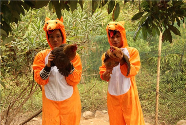 Щ˶ʾָȹȥʤܿ˻ӭ