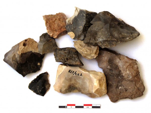 这些以色列山洞中的燧石有明显被烧过的痕迹。图片来源：Ron Shimelmitz