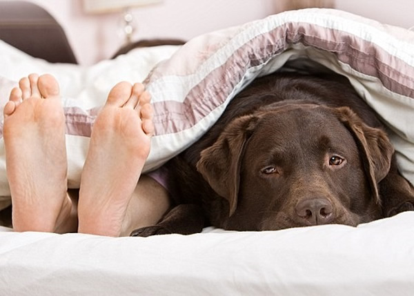 ��ר��ָ������������һֱ��������Ķ��