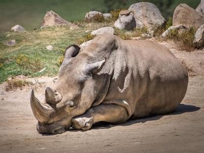 美国现在的天气状况正如灾难片《后天》中的场