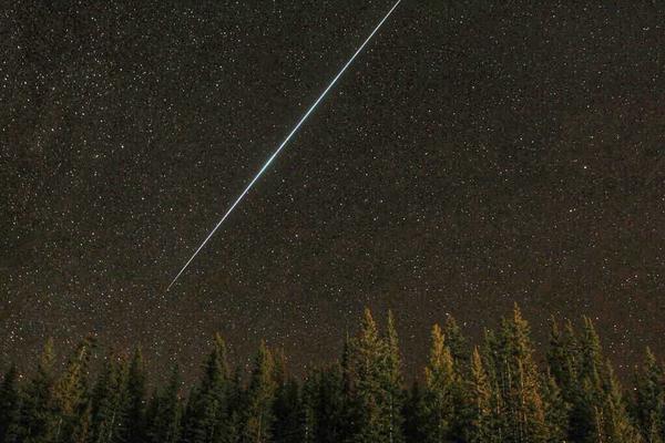 ������ҹ�����³���β��